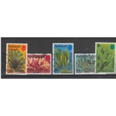 FALKLAND ISLANDS 1979 FLORA...