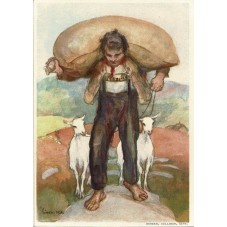 1931 SVIZZERA CARTOLINA...