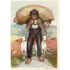 1931 SVIZZERA CARTOLINA...