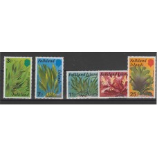 FALKLAND ISLANDS 1979 FLORA...