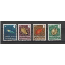 FALKLAND ISLANDS 1981 FAUNA...