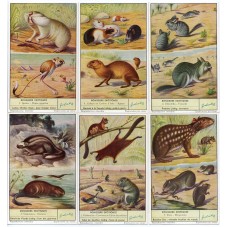 S 1600 / LIEBIG / I...