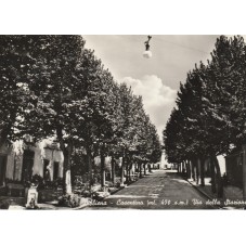 CARTOLINA TOSCANA AREZZO...