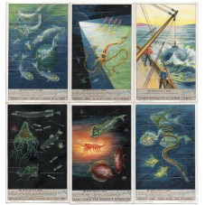 S 1360 / LIEBIG / 900 METRI...