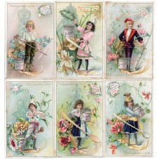 S 0442 / LIEBIG / PICCOLA...