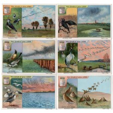 S 1122 / LIEBIG / LA...