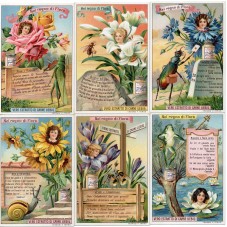 S 1020 / LIEBIG / NEL REGNO...