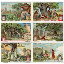 S 1028 / LIEBIG / PIANTE...