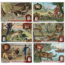 S 1072 / LIEBIG / I FELINI...